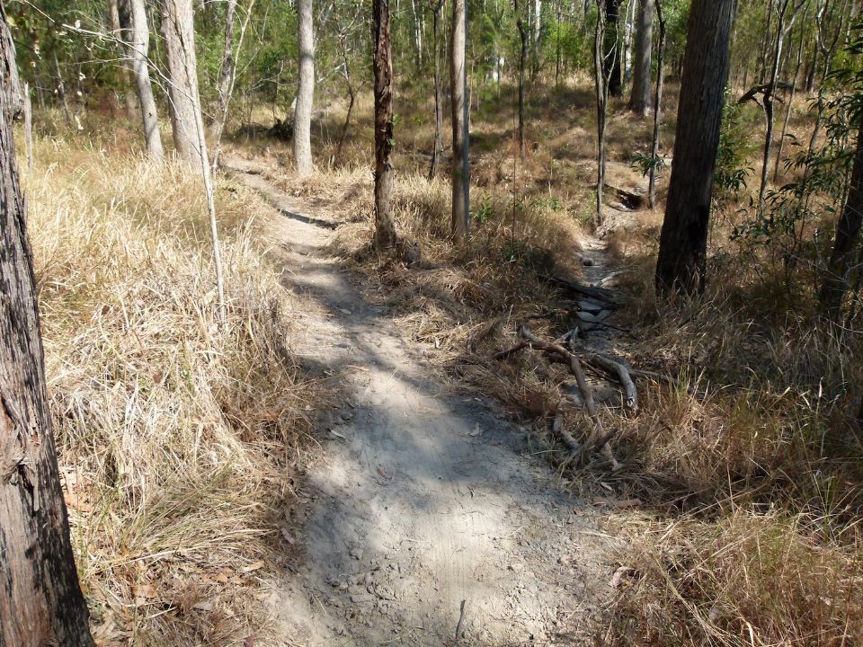 Entering the new trail from the southern side